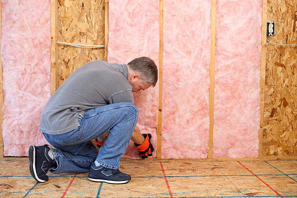 Best Basement Insulation  in Amity Gardens, PA